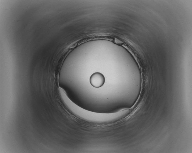 X0000111481161200908041116