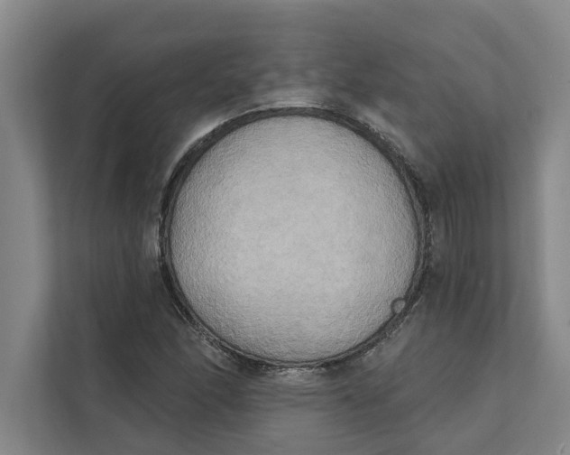 X0000111481166200908041116