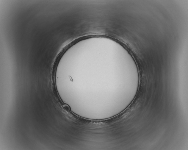 X0000111481168200908041116
