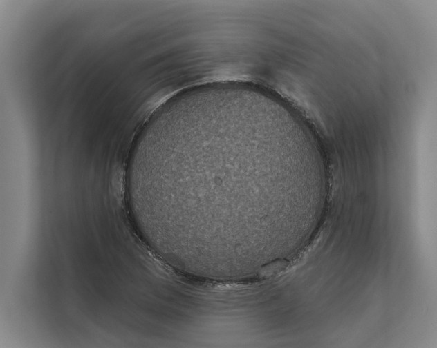 X0000111481169200908041116