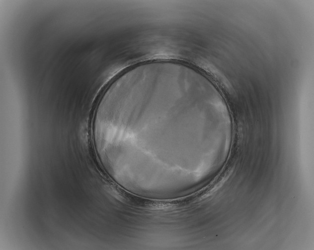 X0000111481170200908041116