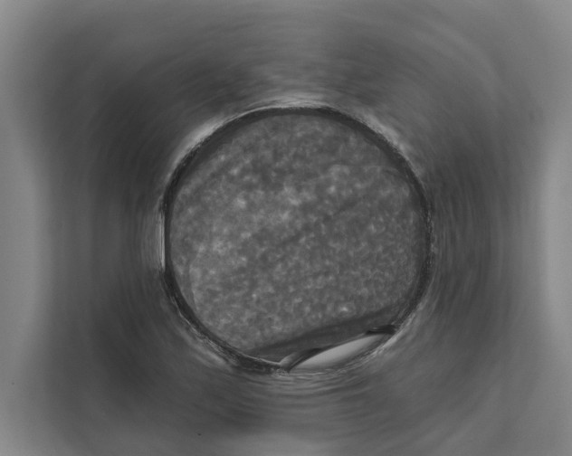X0000111481171200908041116