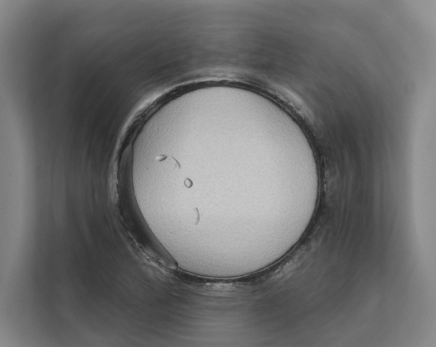 X0000111481172200908041116