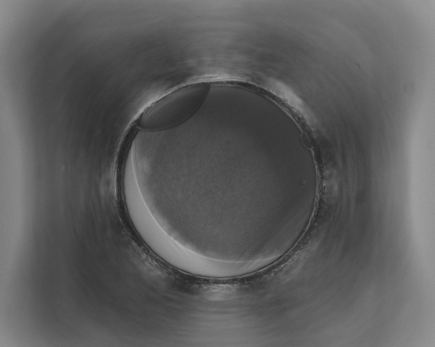 X0000111481173200908041116