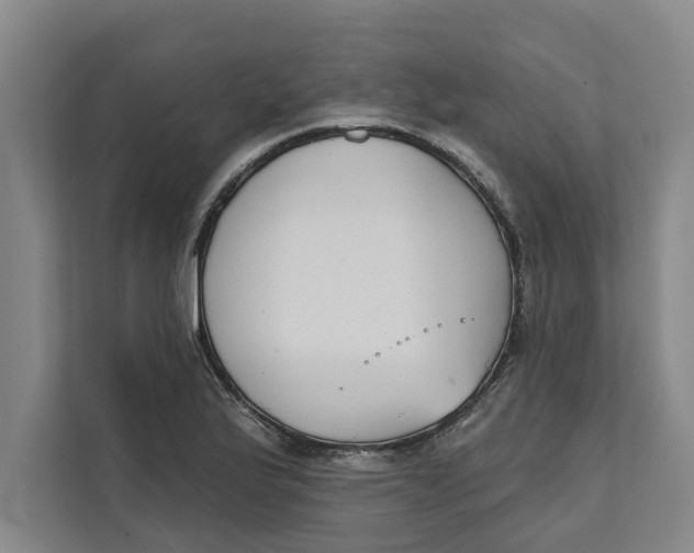 X0000111481175200908041116