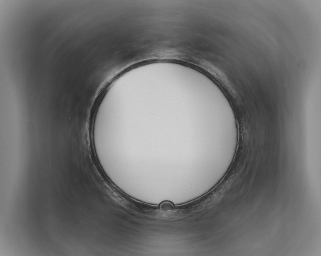 X0000111481176200908041116