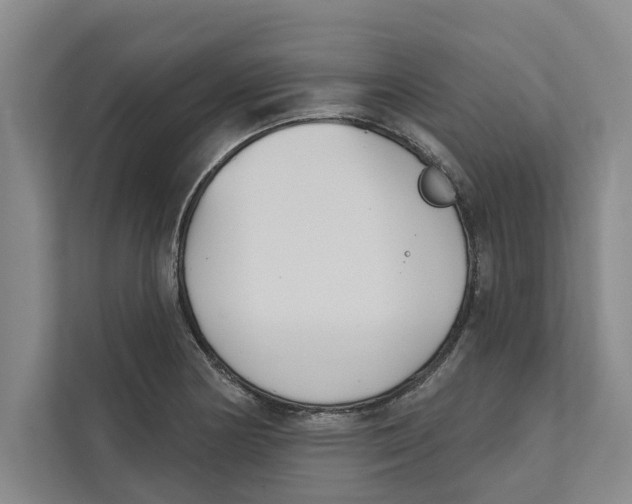 X0000111481178200908041116