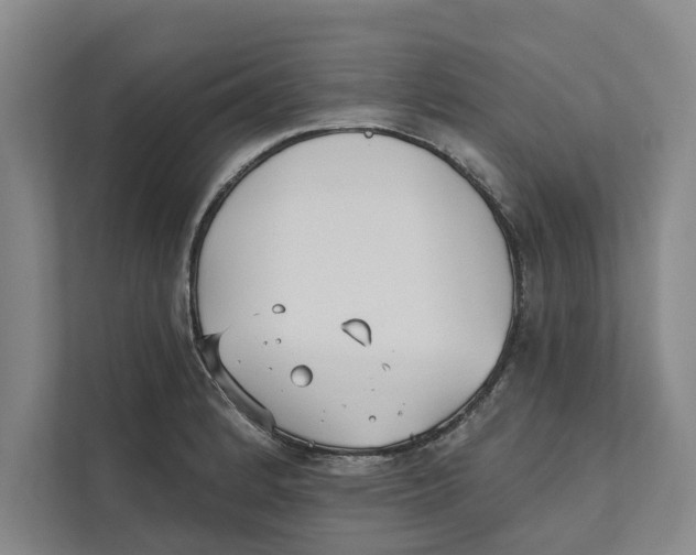 X0000111481184200908041116