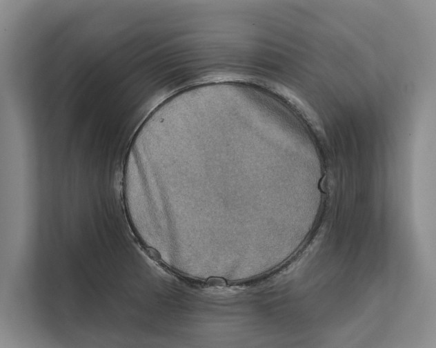 X0000111481185200908041116