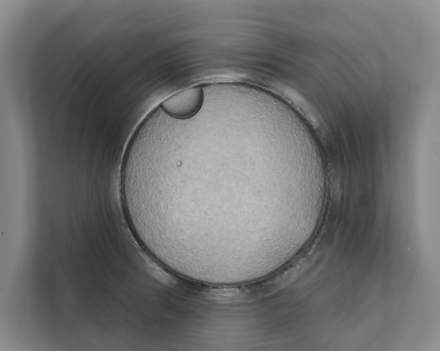 X0000111481186200908041116