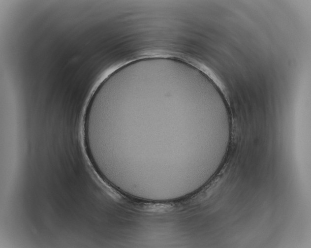 X0000111481187200908041116
