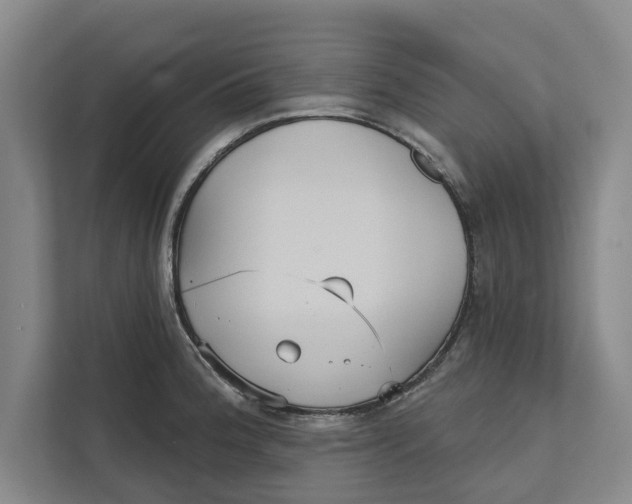 X0000111481188200908041116