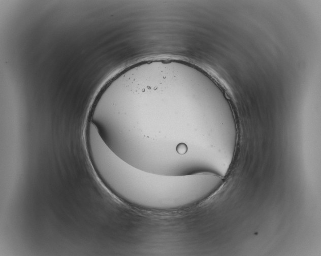 X0000111481189200908041116