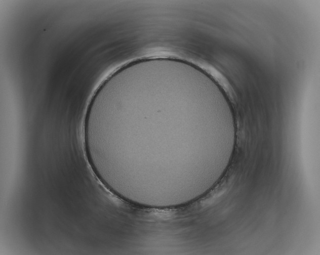 X0000111481191200908041116