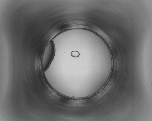 X0000111481193200908041116