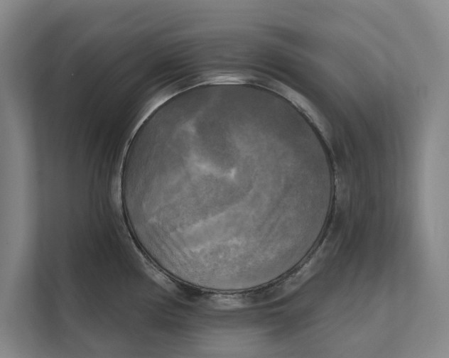 X0000111481194200908041116
