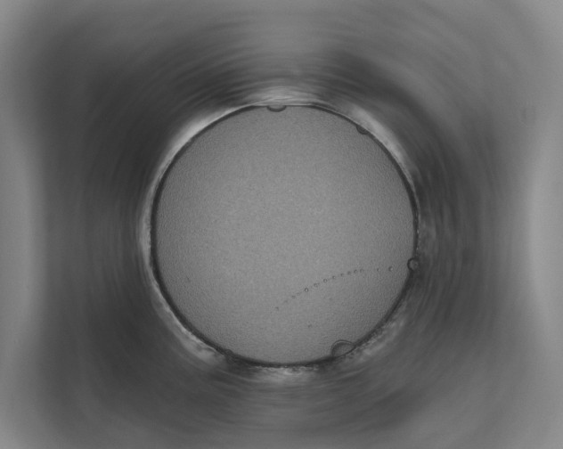 X0000111481195200908041116
