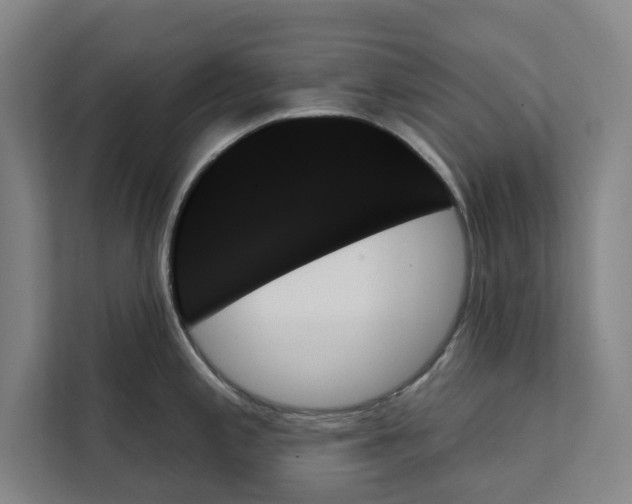 X0000111481197200908041116