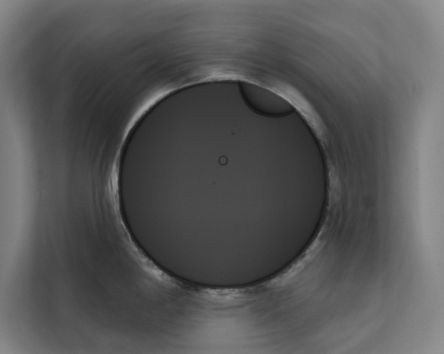 X0000111481198200908041116