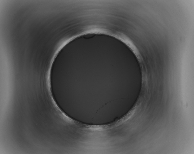 X0000111481199200908041116
