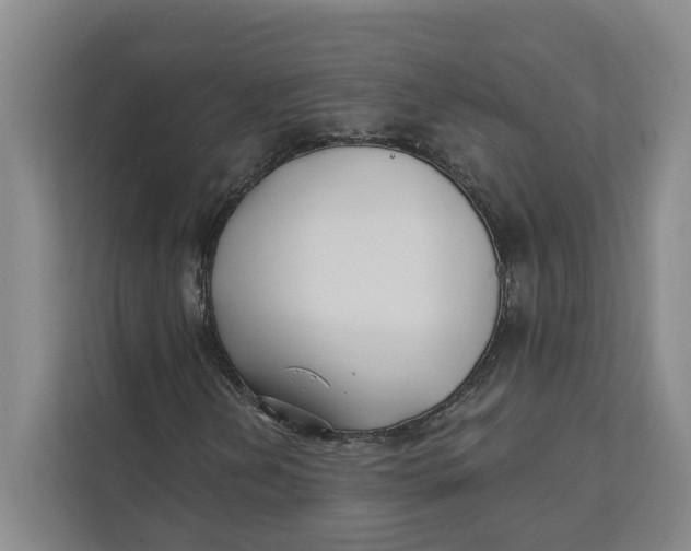X0000111481202200908041115
