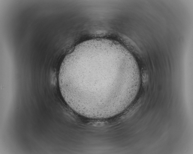 X0000111481204200908041115