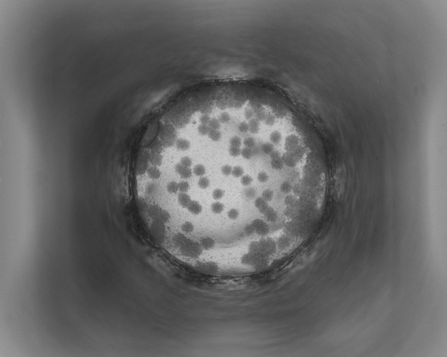 X0000111481205200908041115