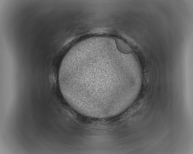 X0000111481206200908041115