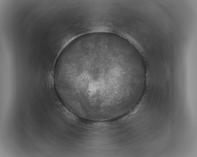 X0000111481212200908041115