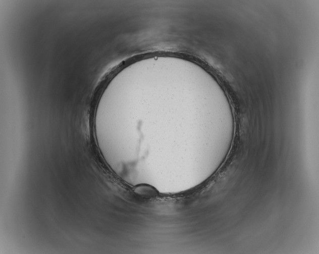 X0000111481214200908041115