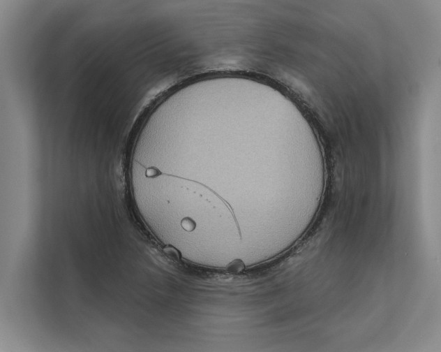 X0000111481218200908041115