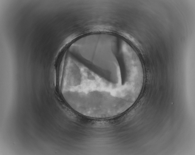 X0000111481219200908041115