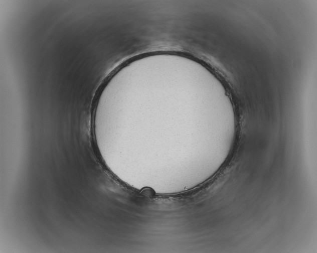 X0000111481220200908041115