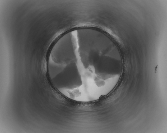 X0000111481221200908041115