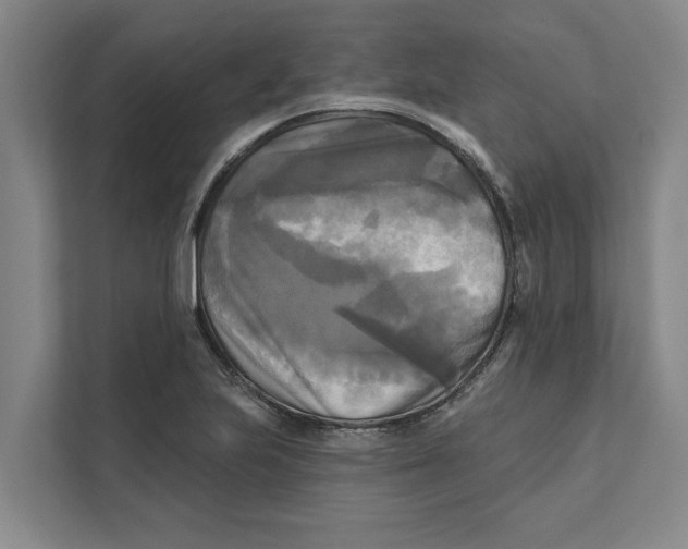 X0000111481223200908041115