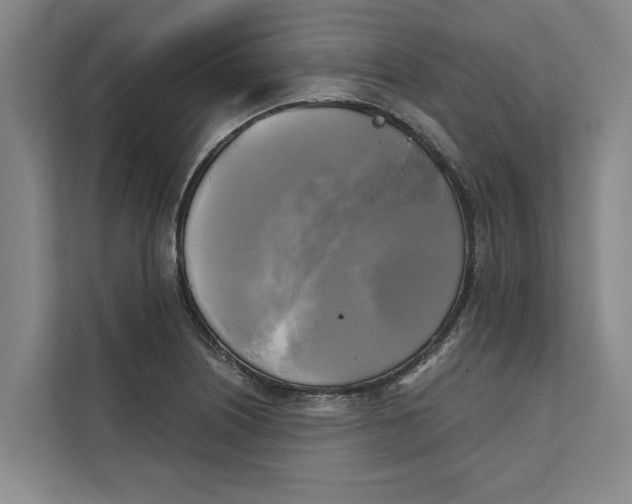 X0000111481226200908041115