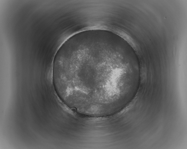X0000111481228200908041115