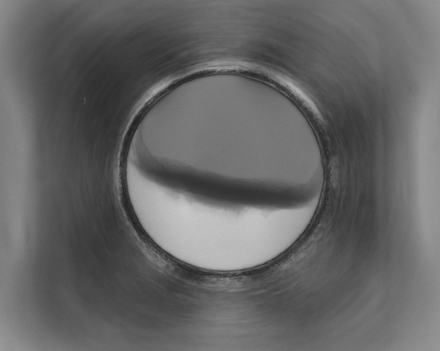 X0000111481229200908041115