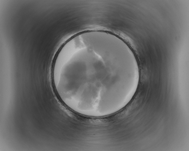 X0000111481231200908041115