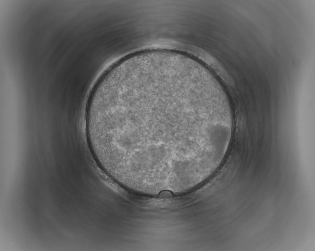 X0000111481232200908041115