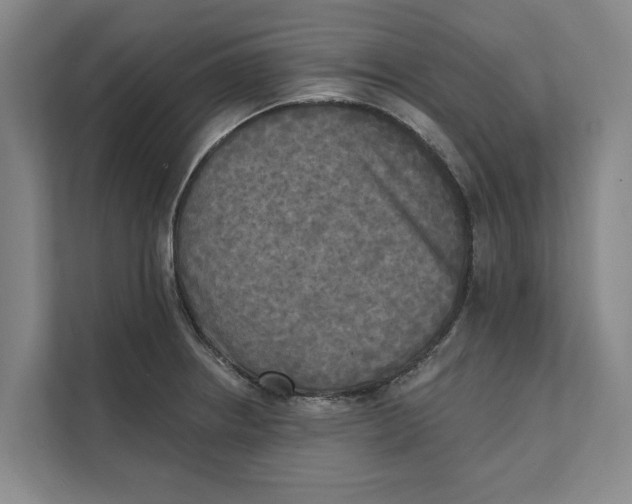 X0000111481234200908041115