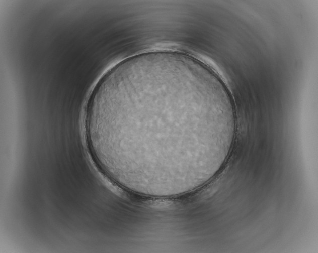 X0000111481235200908041115