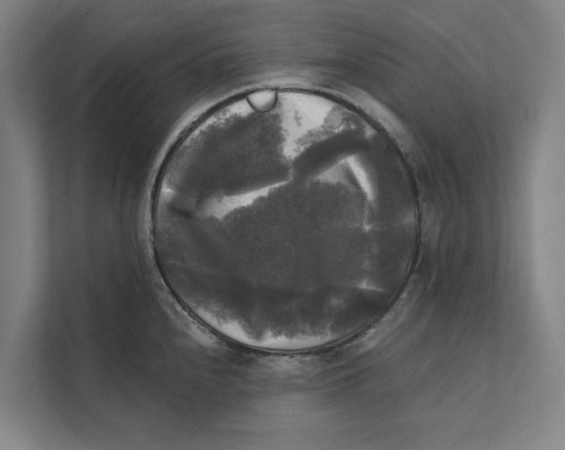 X0000111481240200908041116