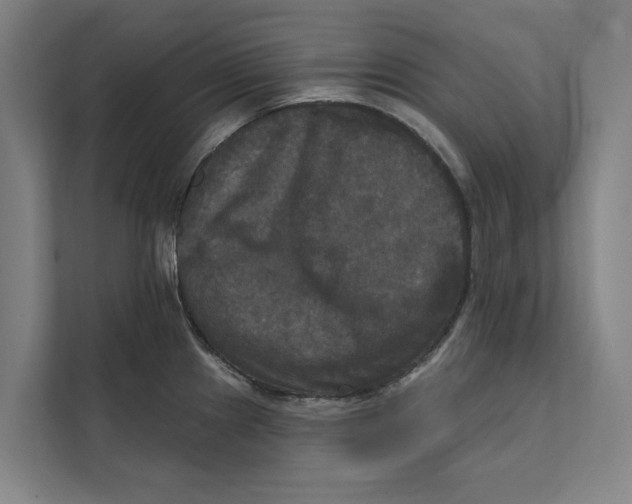 X0000111481241200908041116