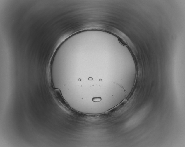 X0000111481242200908041116