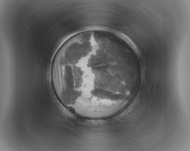 X0000111481244200908041116