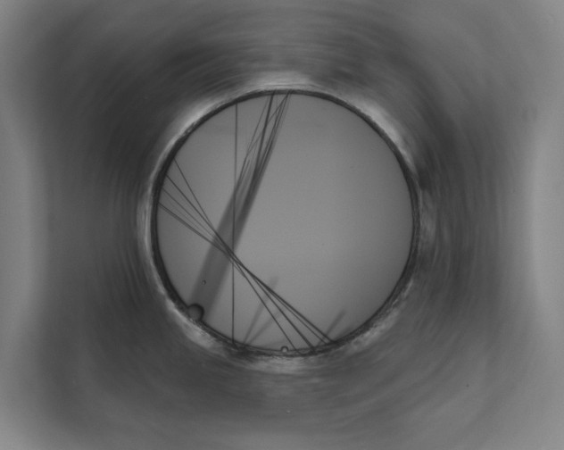 X0000111481245200908041116