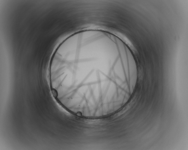 X0000111481247200908041116