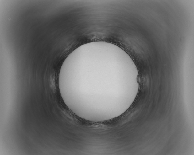 X0000111481250200908041115