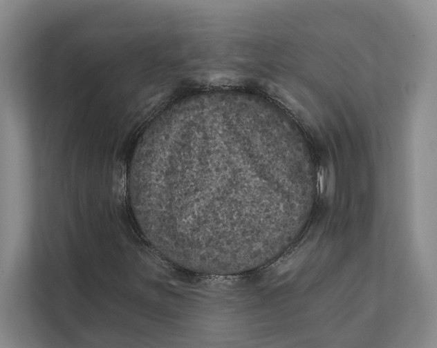 X0000111481251200908041115